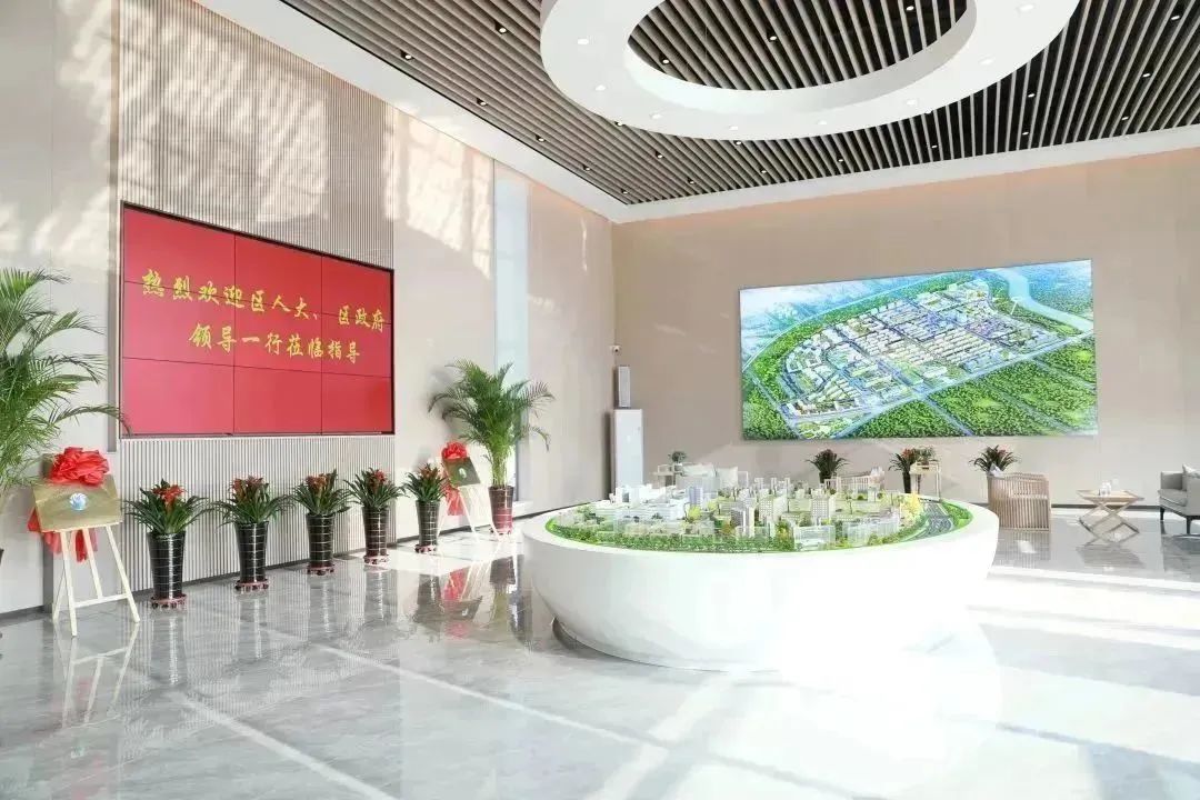 龍港區人大、區政府領導一行視察調研龍港國際醫療健康產業園(圖2)