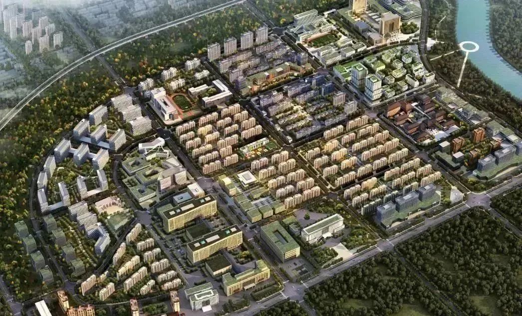 龍港區人大、區政府領導一行視察調研龍港國際醫療健康產業園(圖18)