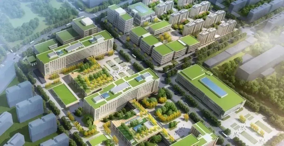 龍港區人大、區政府領導一行視察調研龍港國際醫療健康產業園(圖23)